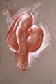Click to enlarge pastel painting "Les genoux"