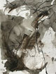 Chêne du Caucase - Encre de Chine rehaussée